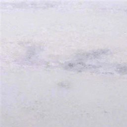Absolute White