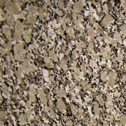 Autumn Beige