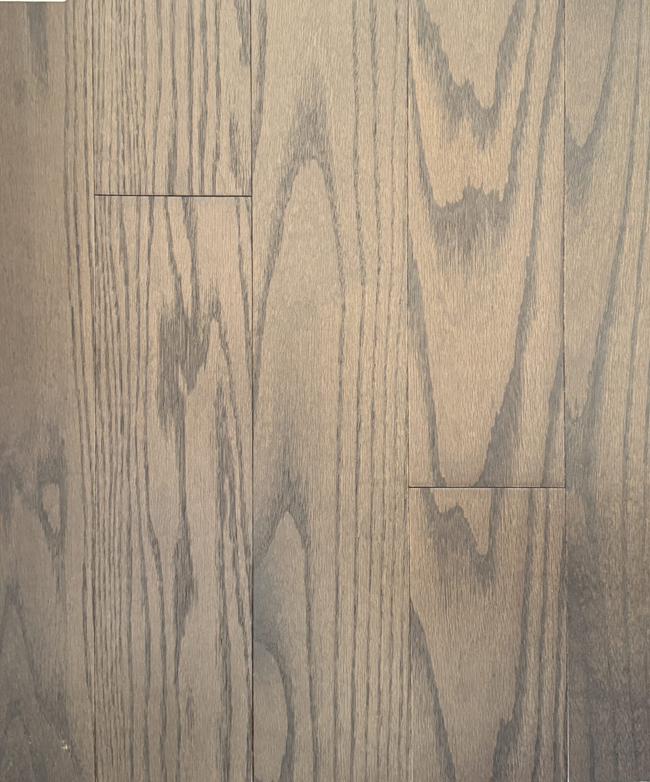 RED OAK SOLID CARDINAL