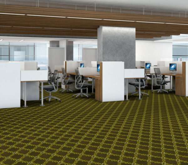 CANNONBORO - ARBOR GREEN - Image 3