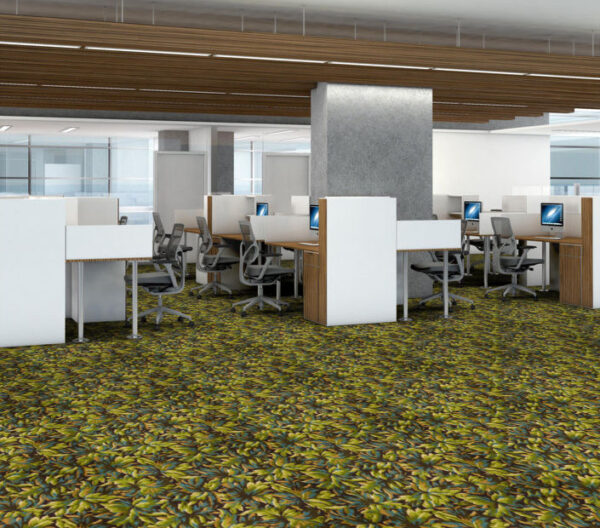 NEW BAY - LAUREL - Image 3