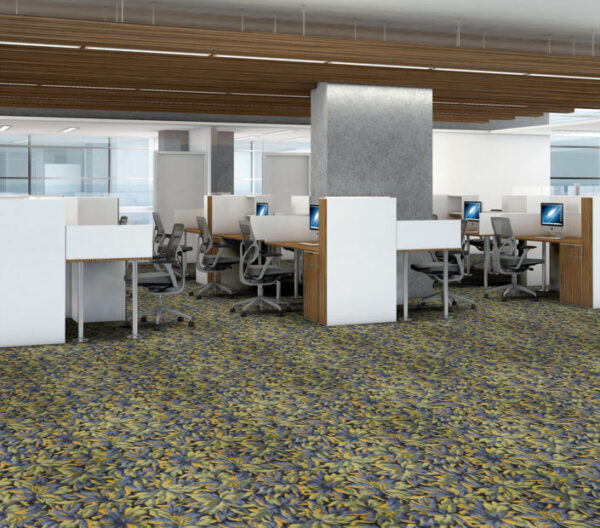 NEW BAY - JUNIPER - Image 3