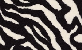 ZEBRA - MIGRANT BEAUTY