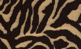 ZEBRA - GRAZER