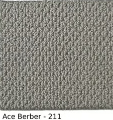 ACE BERBER COLOR-211