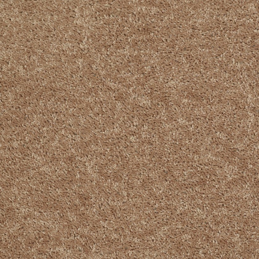 All Star GOLDEN ECHOES