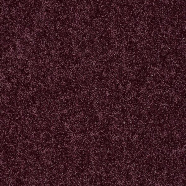 All Star ROYAL PURPLE
