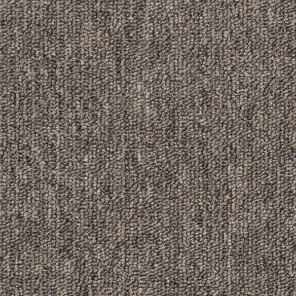 Dragon Grey-18