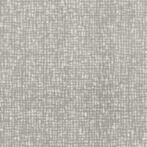 Transitions Carpet - Joy Carpets